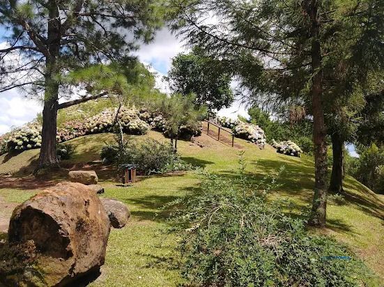 Terreno, à venda, Vale dos Pinheiros - Gramado — foto 4
