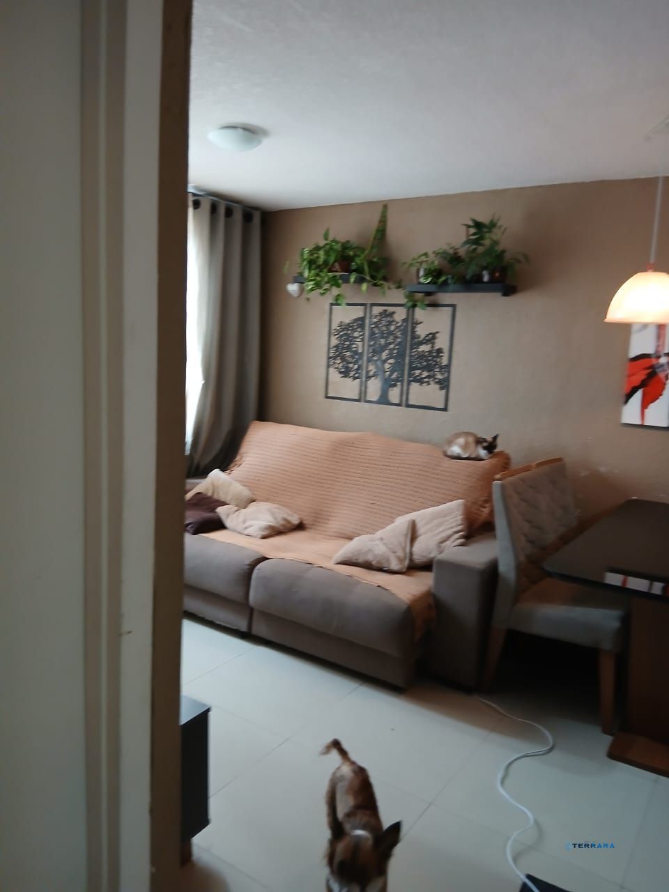 Apartamento 2 dormitórios 1 vaga para carro, Bairro Sarandi