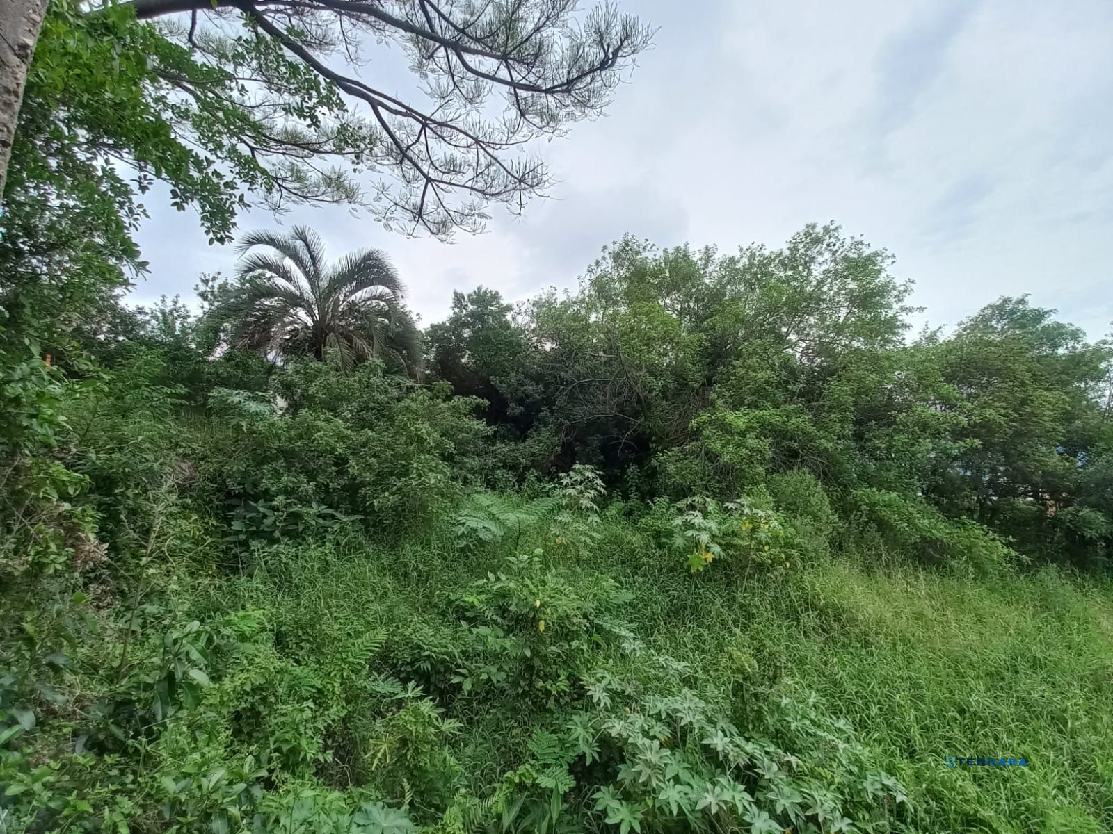 Terreno Comercial, à venda, Vila Nova - Porto Alegre — foto 3