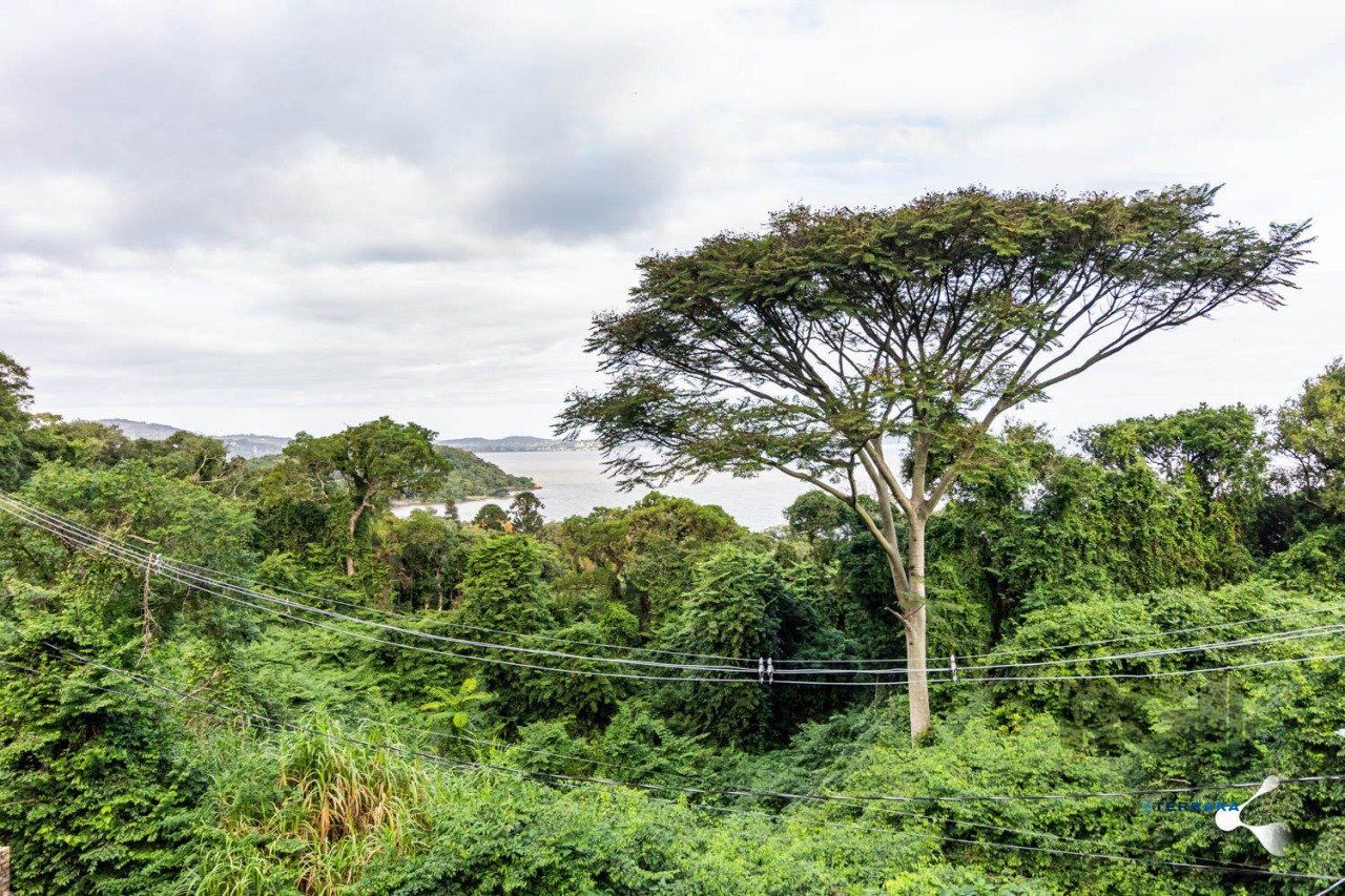 TERRENO, 1.236m,  SETIMO CEU, PORTO ALEGRE, RS