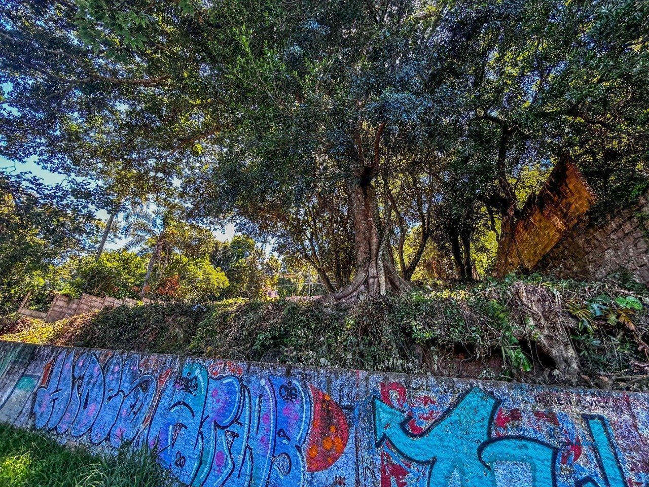 Terreno, à venda, Ipanema - Porto Alegre — foto 5