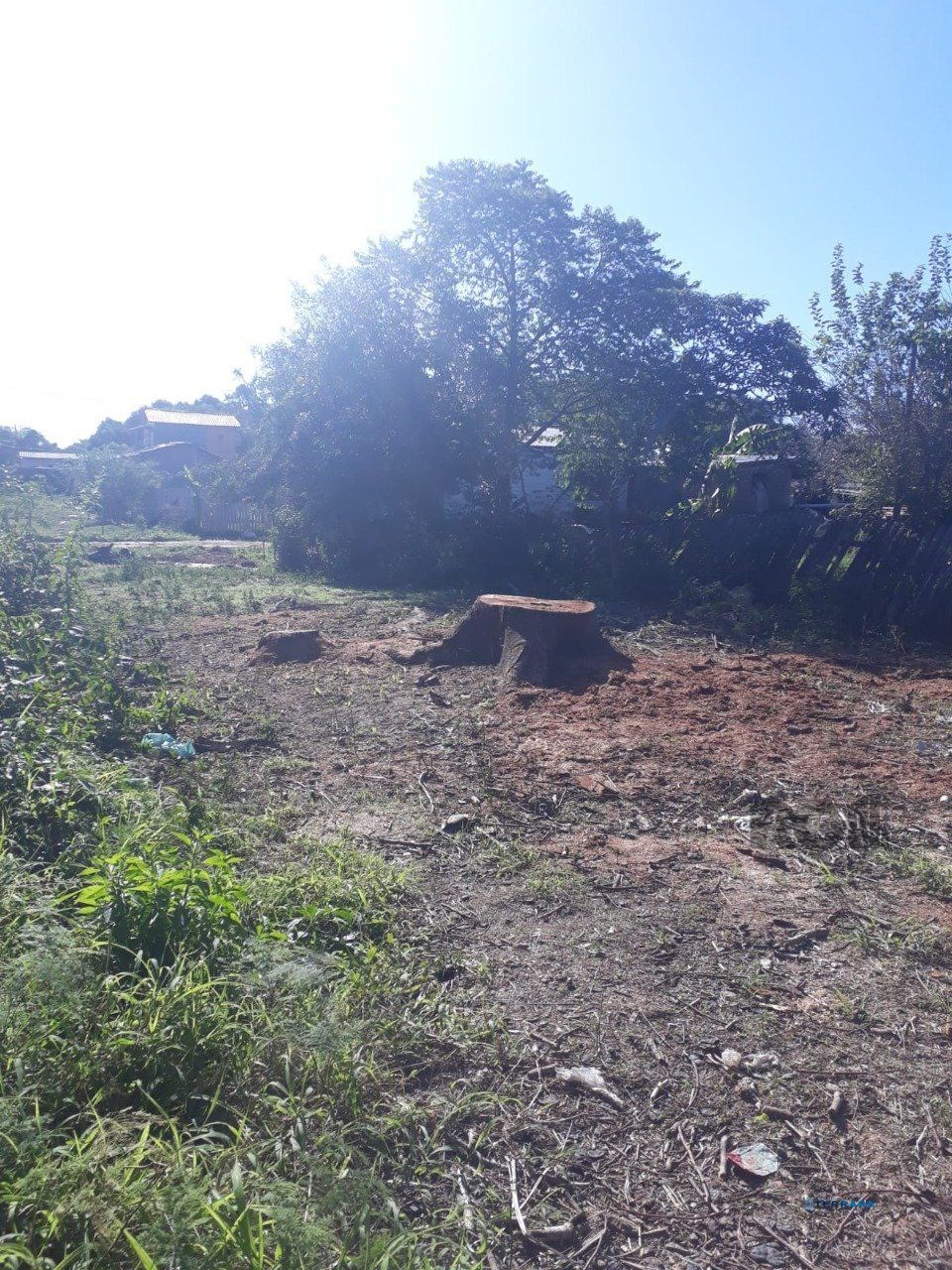 Terreno, à venda, Lageado - Porto Alegre — foto 2