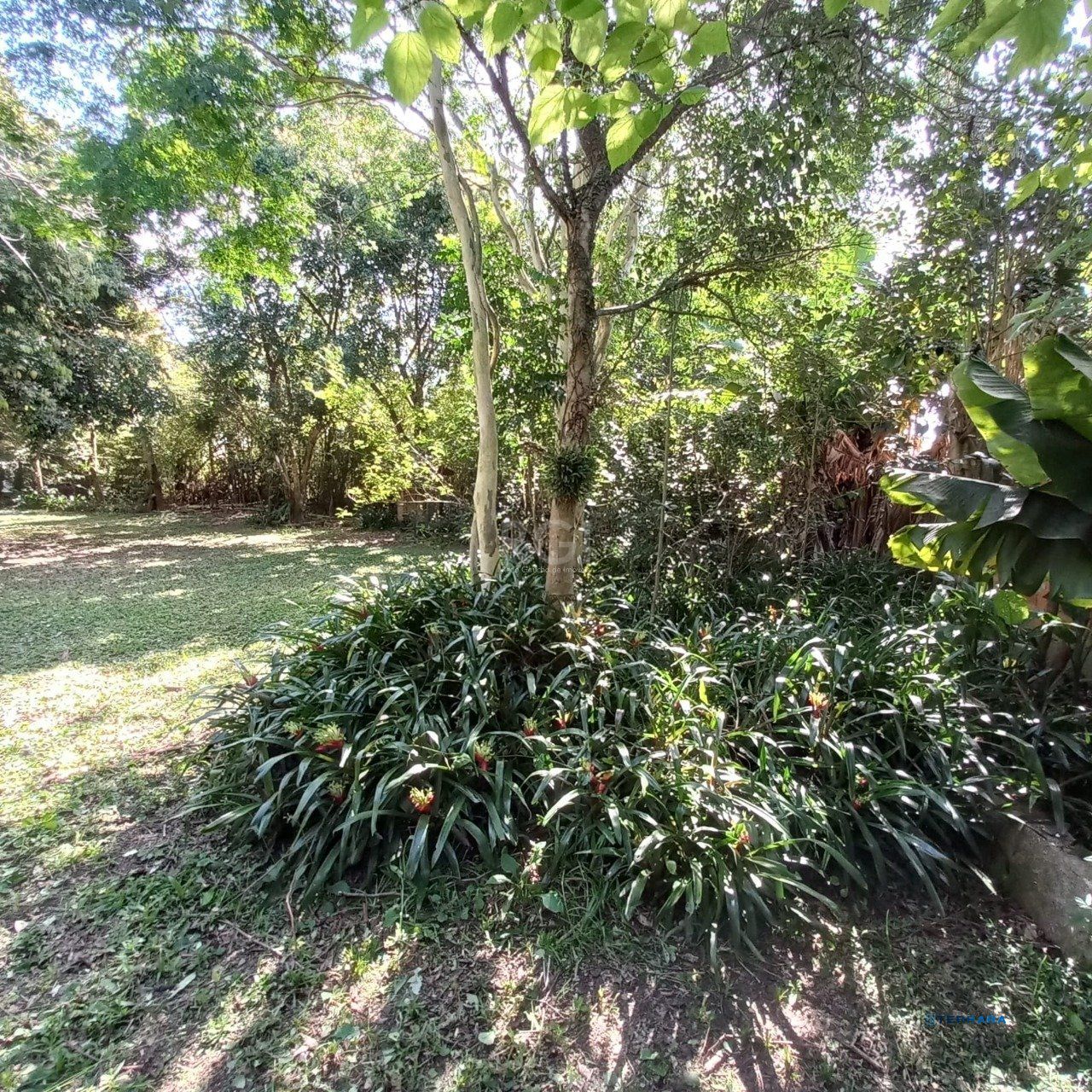 Terreno, à venda, Belém Novo - Porto Alegre — foto 3
