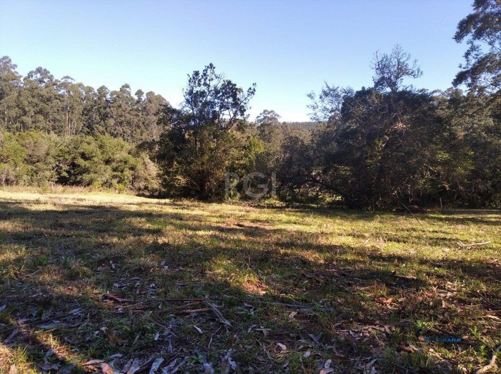 Sítio, à venda, 2.500 m², Fiuza - Viamão — foto 3