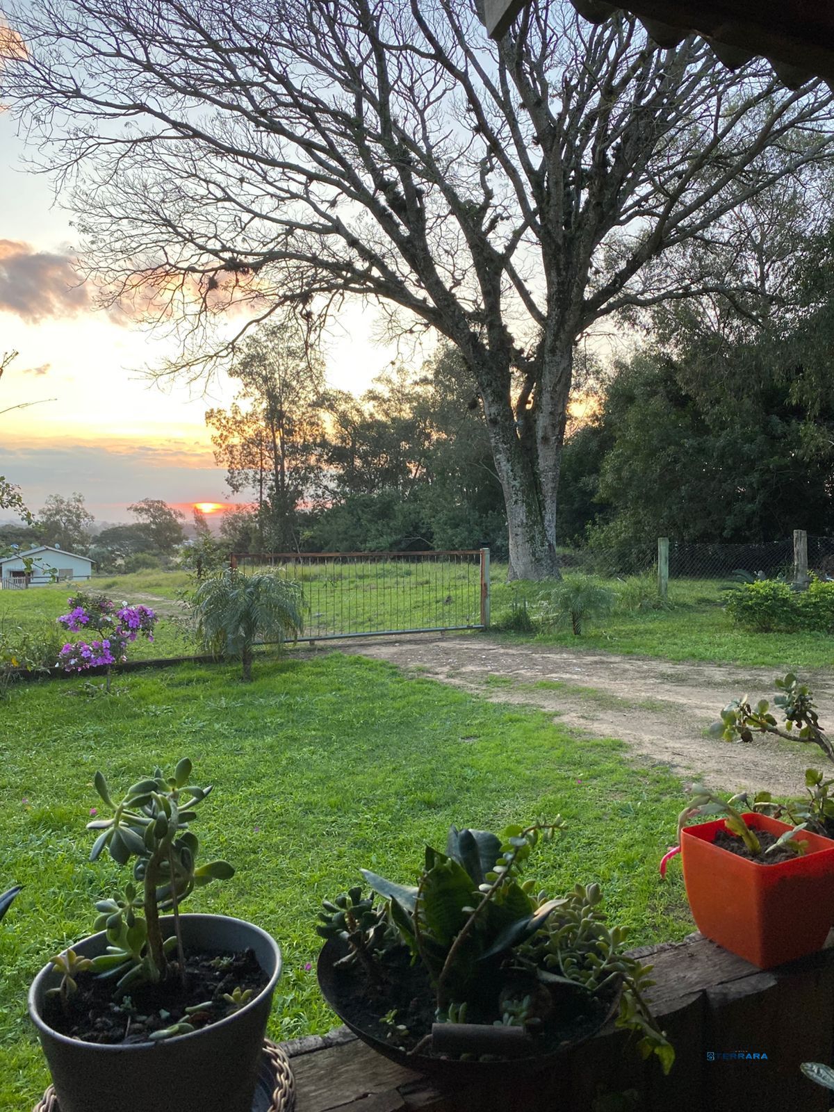 Sítio 3 quartos à venda, Parque Florestal (Itapuã) - Viamão