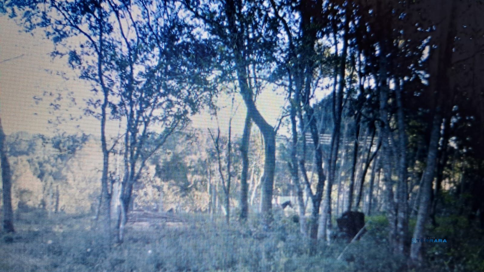Sítio, à venda, Hípica - Porto Alegre — foto 5
