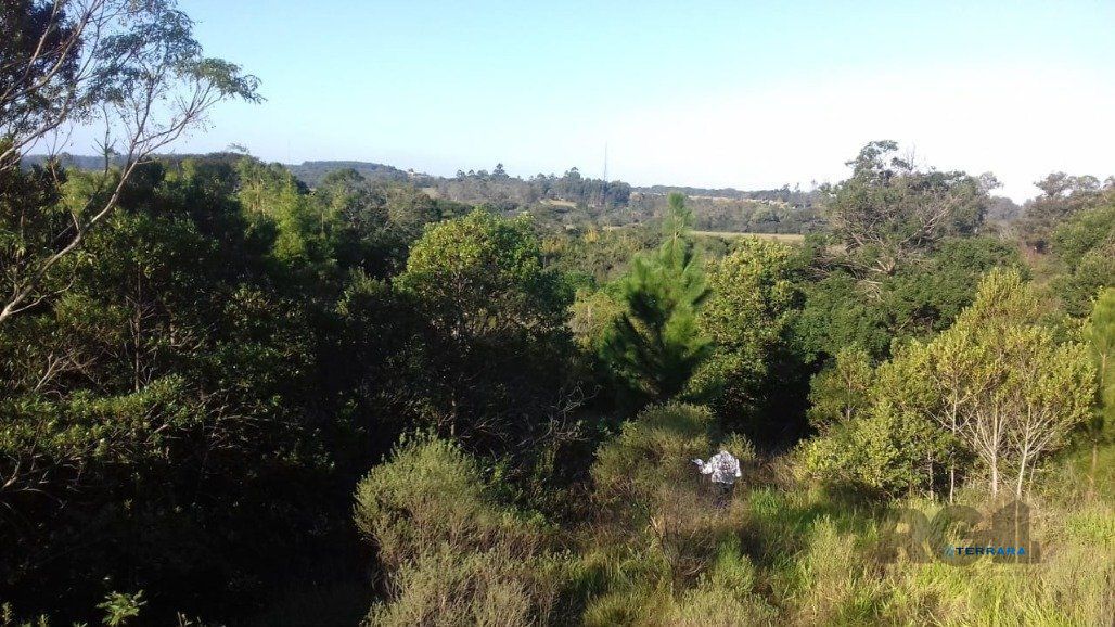 Sítio, à venda, 3.000 m², Águas Claras - Viamão — foto 4