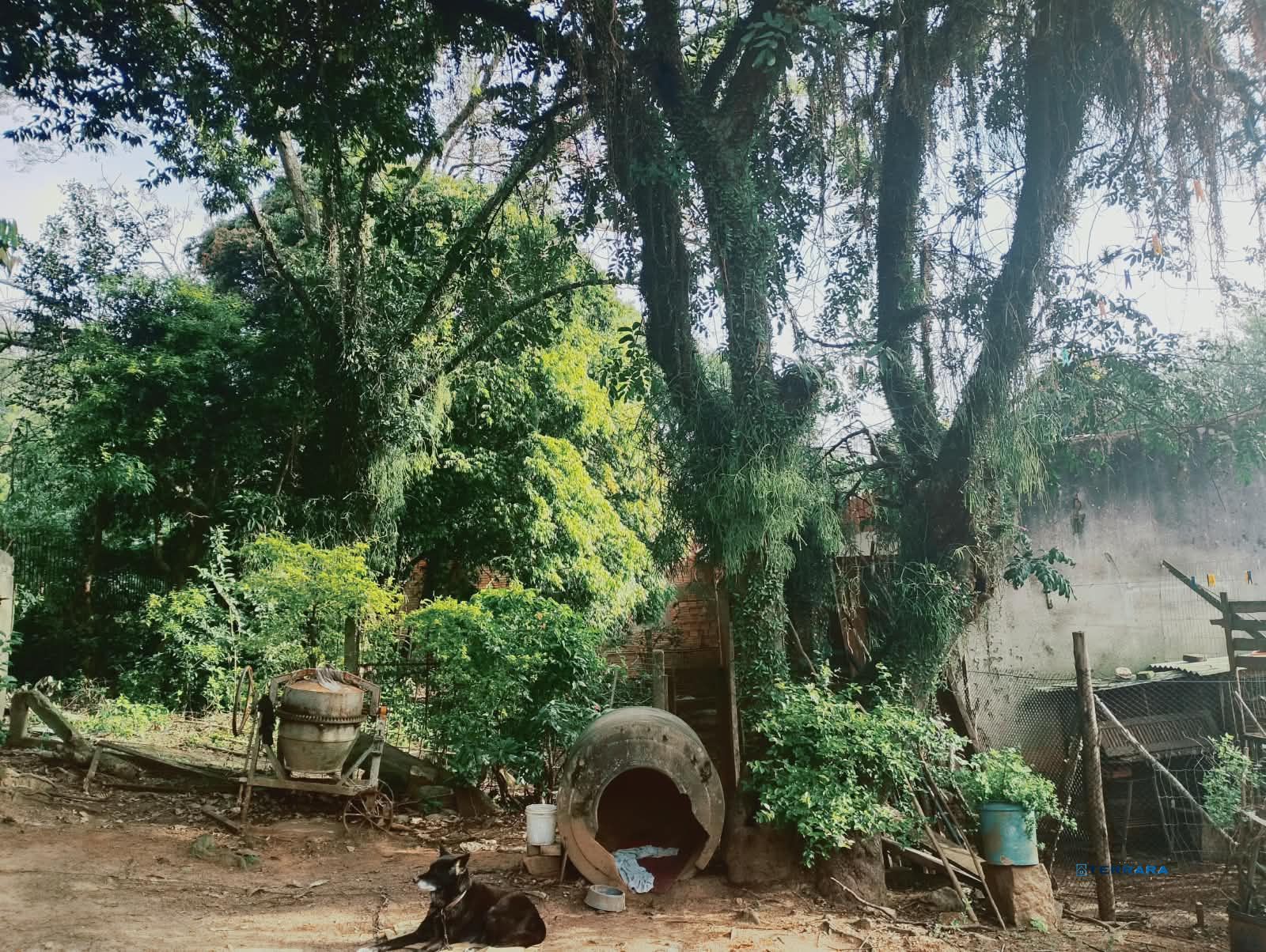 Terreno, à venda, Campo Novo - Porto Alegre — foto 3