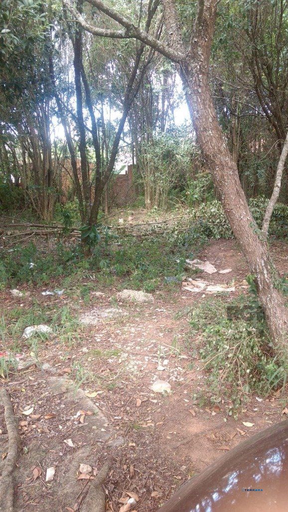 Terreno, à venda, Lomba do Pinheiro - Porto Alegre — foto 3