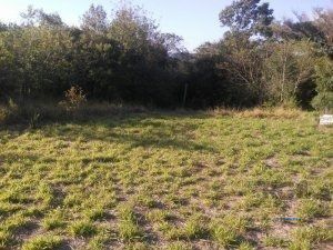 Terreno à venda, Lageado - Porto Alegre