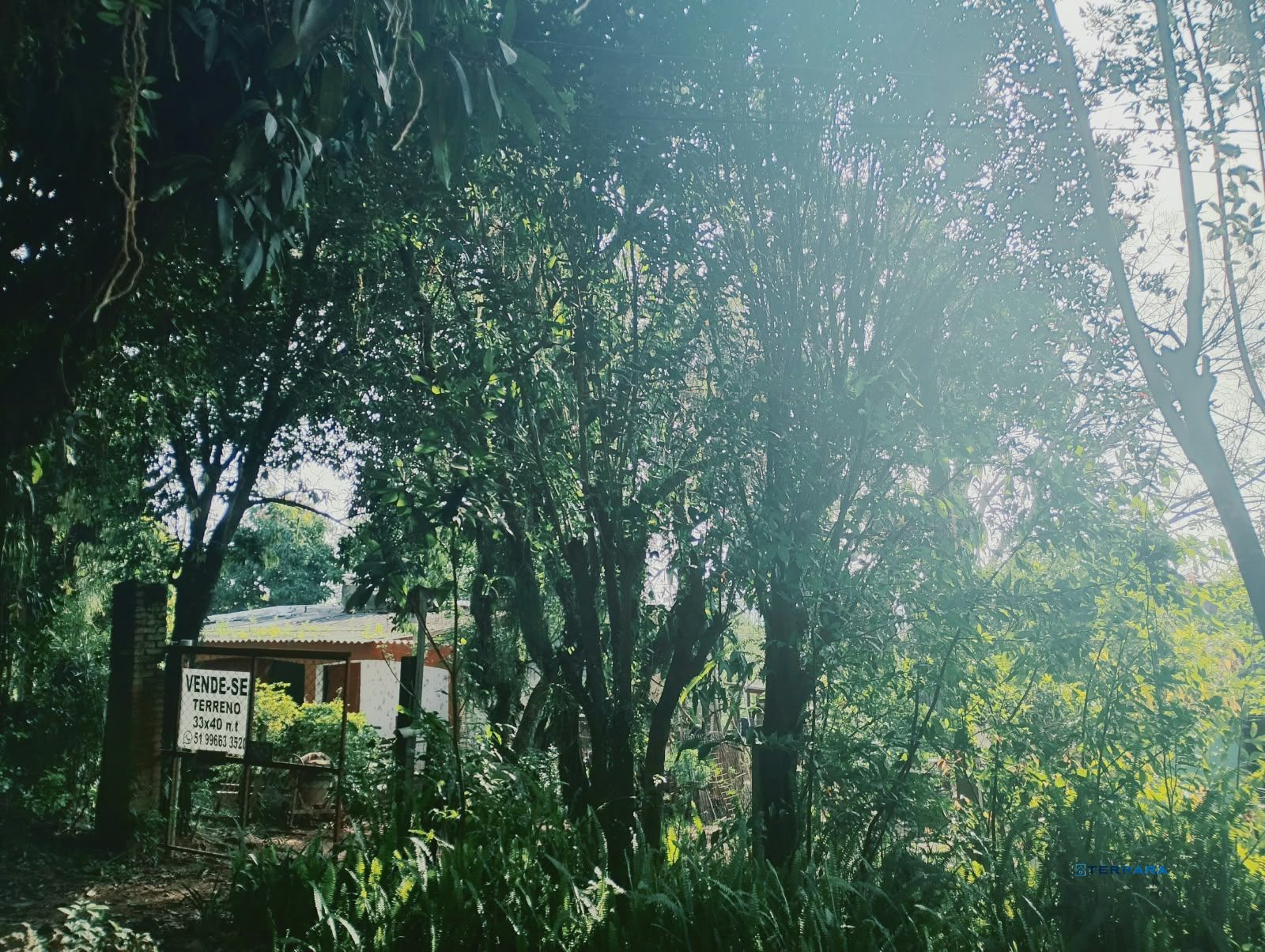 Terreno, à venda, Campo Novo - Porto Alegre — foto 2