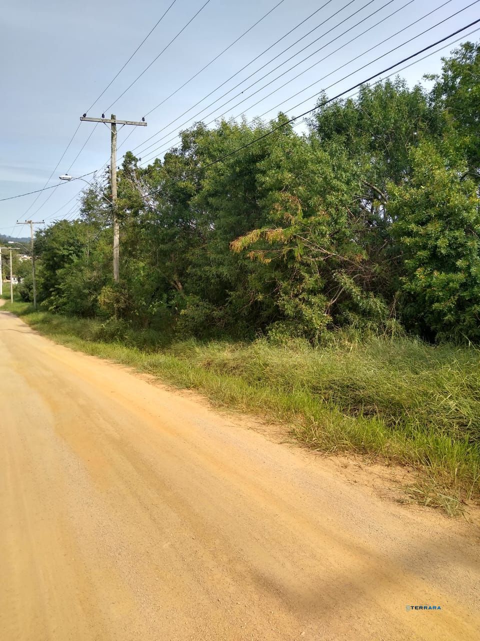 Terreno à venda, Lageado - Porto Alegre