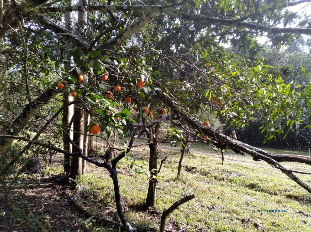 Terreno, à venda, Extrema - Porto Alegre — foto 4