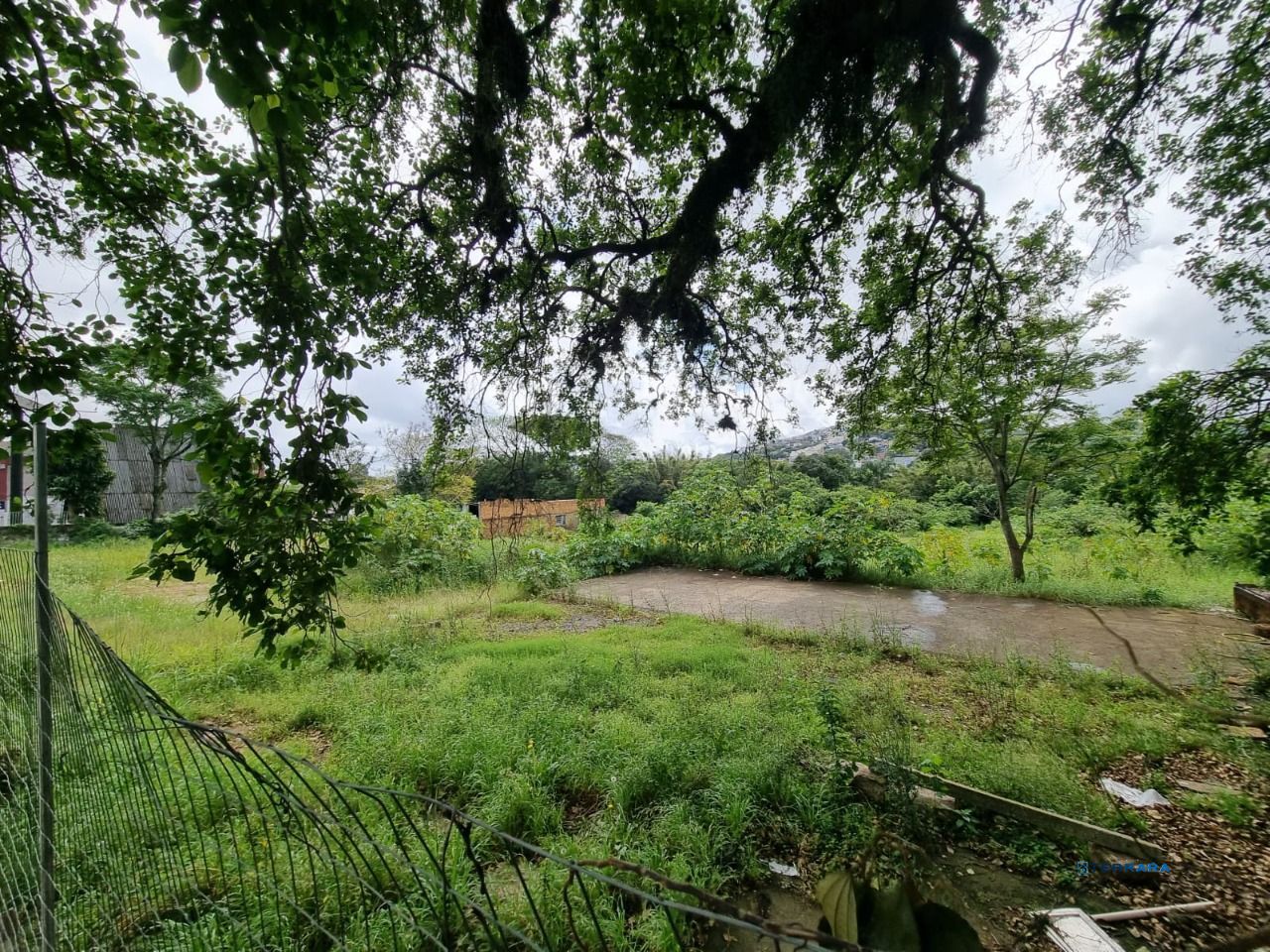Terreno, à venda, 3.778 m², Cavalhada - Porto Alegre — foto 4