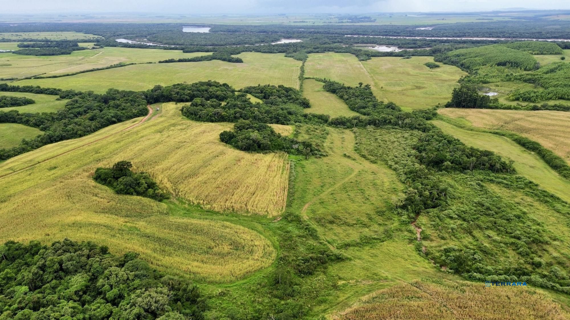 Fazenda, 3 quartos, à venda, 500 m², Monte Alegre (distrito) - Vale Verde — foto 3