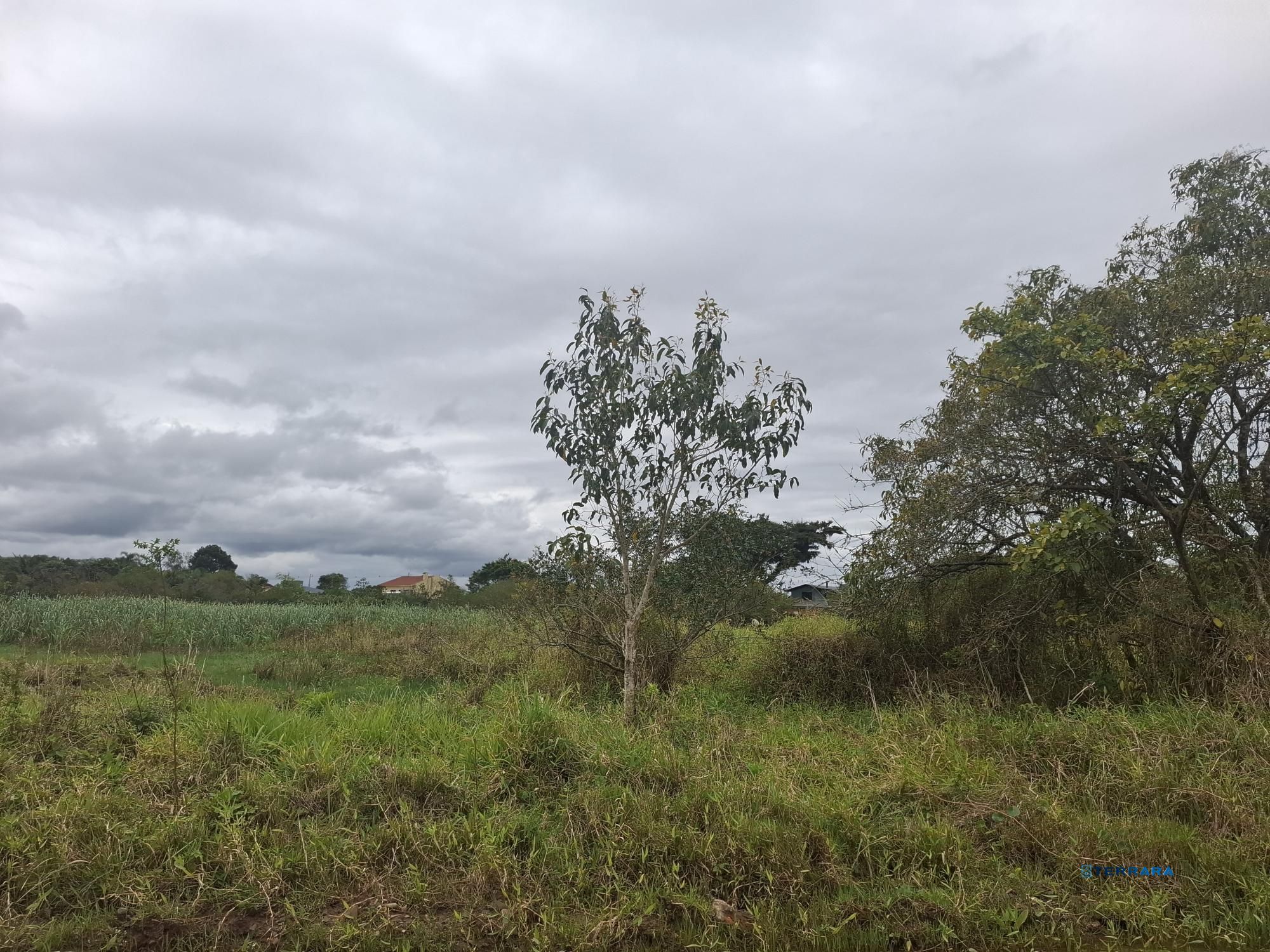Terreno, à venda, Engenho Velho - Torres — foto 4