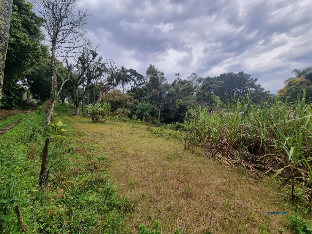 Terreno, à venda, 4.452 m², Jardim Isabel - Porto Alegre — foto 3
