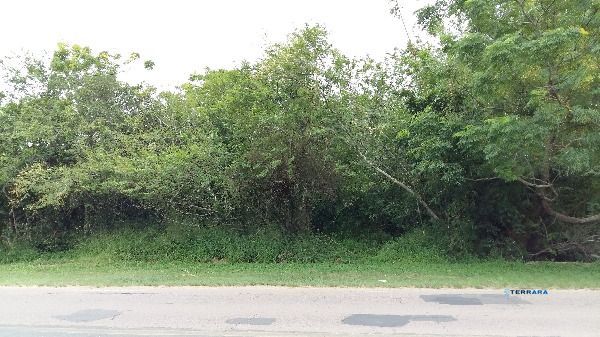 Terreno, à venda, Aberta dos Morros - Porto Alegre — foto 2