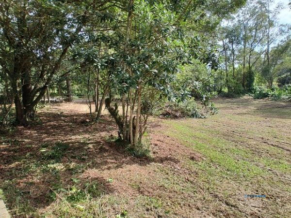 Sítio, à venda, 6.120 m², São Caetano - Porto Alegre — foto 2