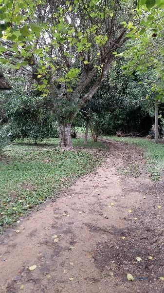 Terreno, 2 quartos, à venda, Espírito Santo - Porto Alegre — foto 5