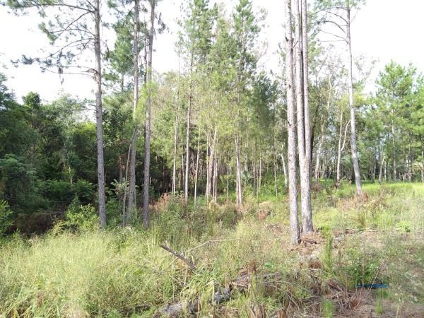 Terreno, à venda, Lomba do Pinheiro - Porto Alegre — foto 3