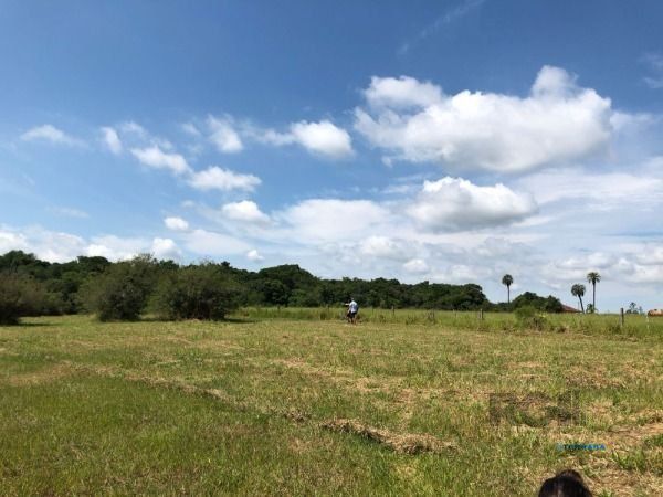Fazenda, 1 quarto, à venda, Águas Claras - Viamão — foto 2