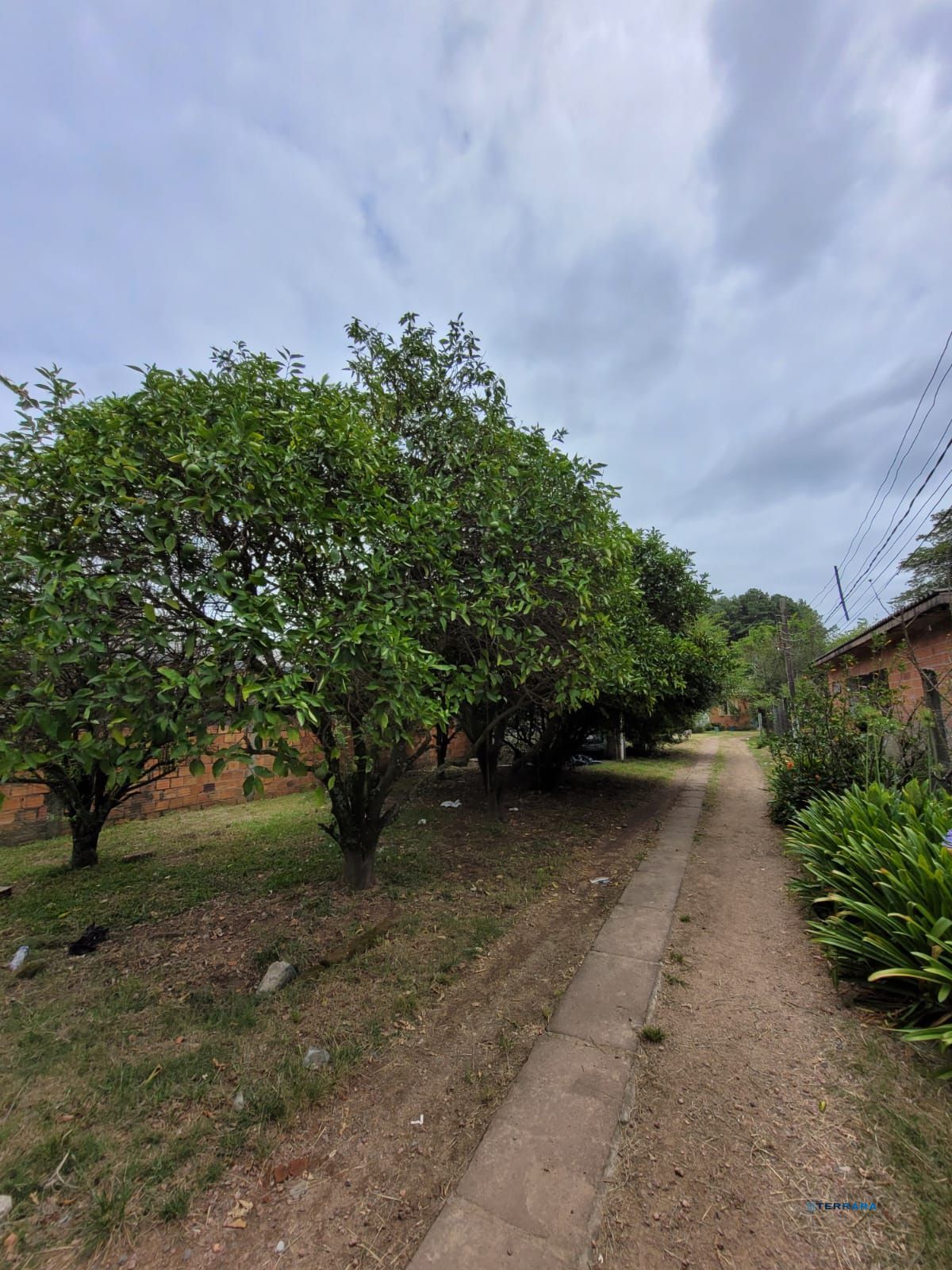 Terreno, à venda, Ponta Grossa - Porto Alegre — foto 3