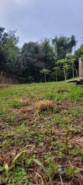 Terreno, à venda, Ipanema - Porto Alegre — foto 3