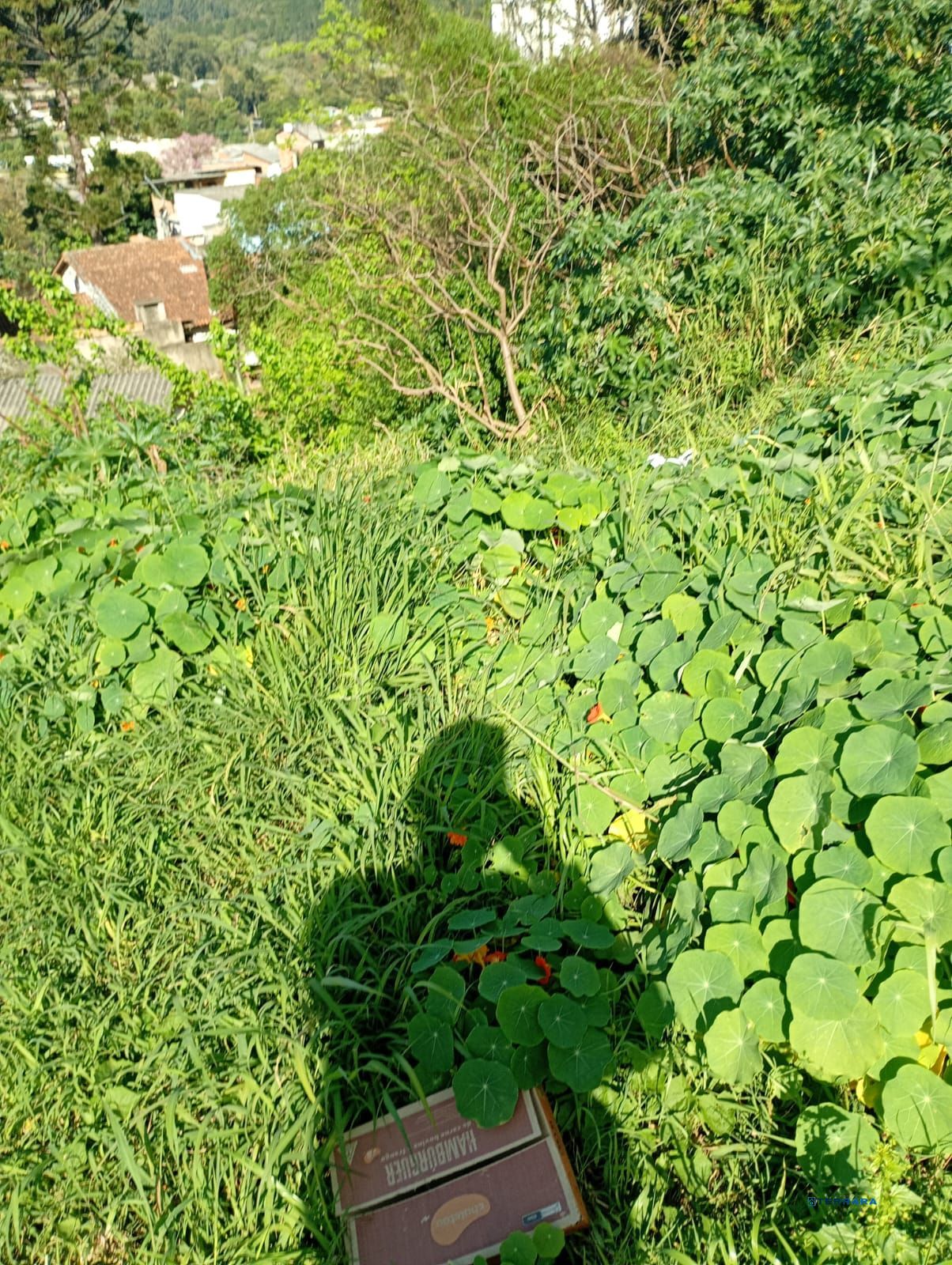 Terreno, à venda, Jardim Carvalho - Porto Alegre — foto 4
