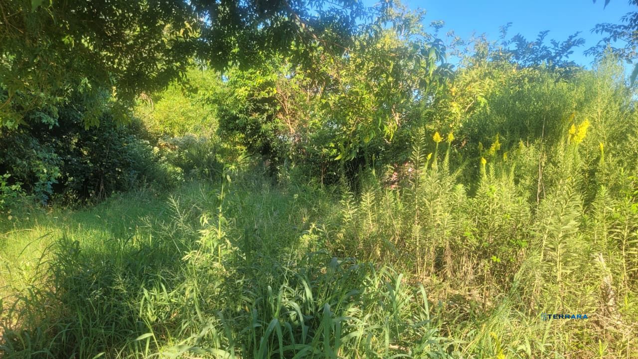 Terreno, à venda, Vila Vista Alegre - Cachoeirinha — foto 5