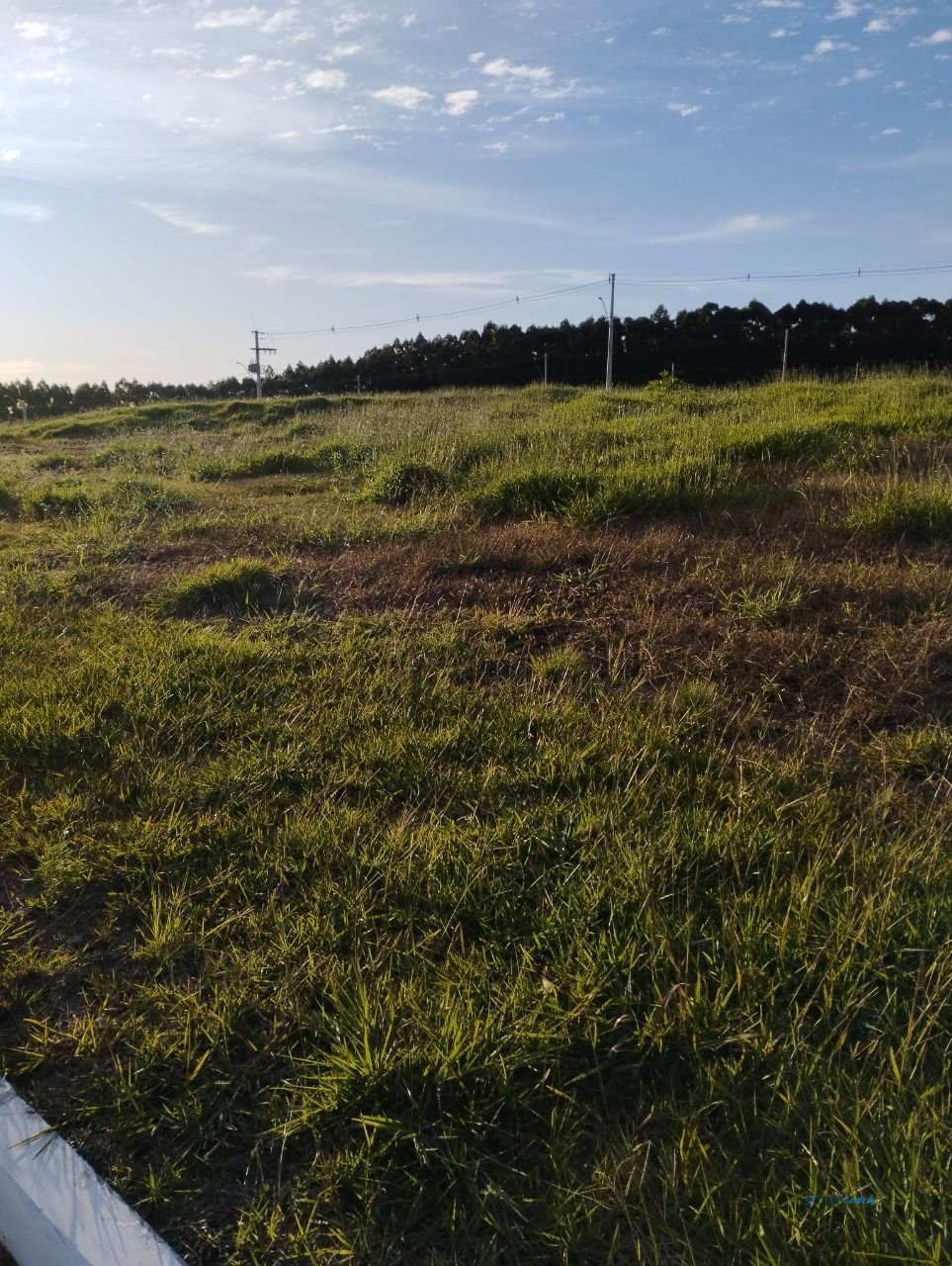 Terreno, à venda, Centro - Guaíba — foto 5