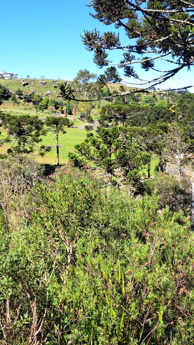 Fazenda, 3 suítes, à venda, 26 m², Centro - Bom Jardim da Serra — foto 1