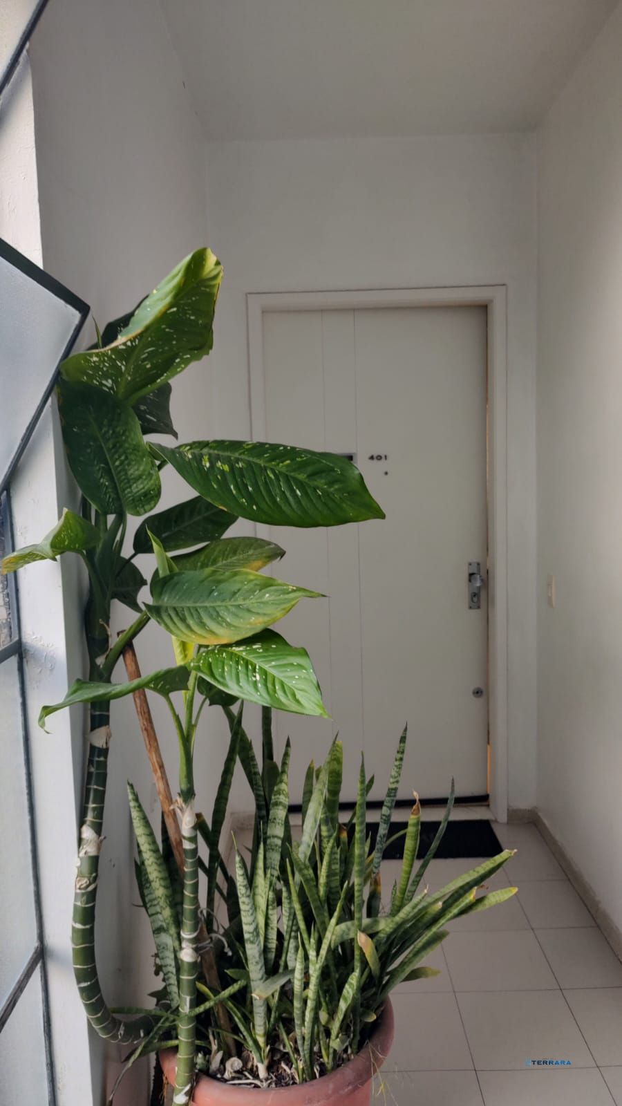 Apartamento, 2 quartos, à venda, 82 m², Bela Vista - Porto Alegre — foto 3