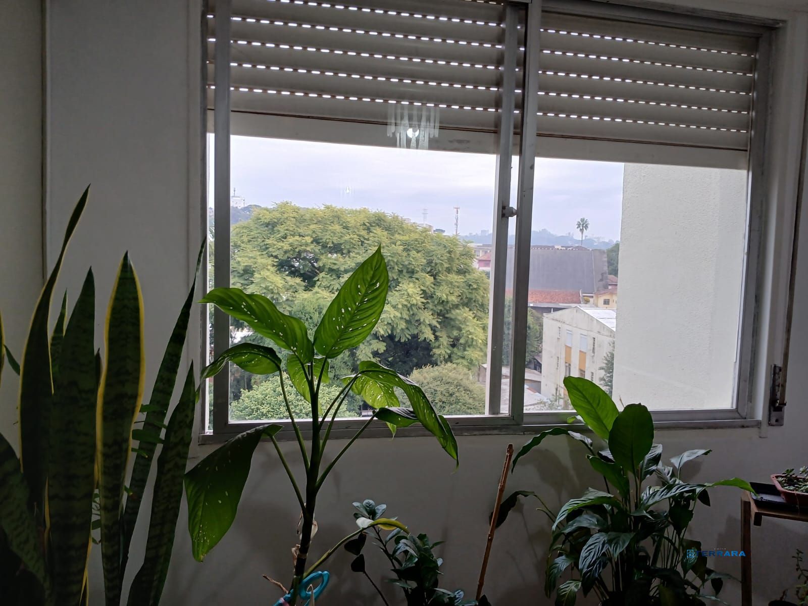 Apartamento no Condomínio Edifício Julia, 2 quartos, à venda, 58 m², Medianeira - Porto Alegre — foto 2