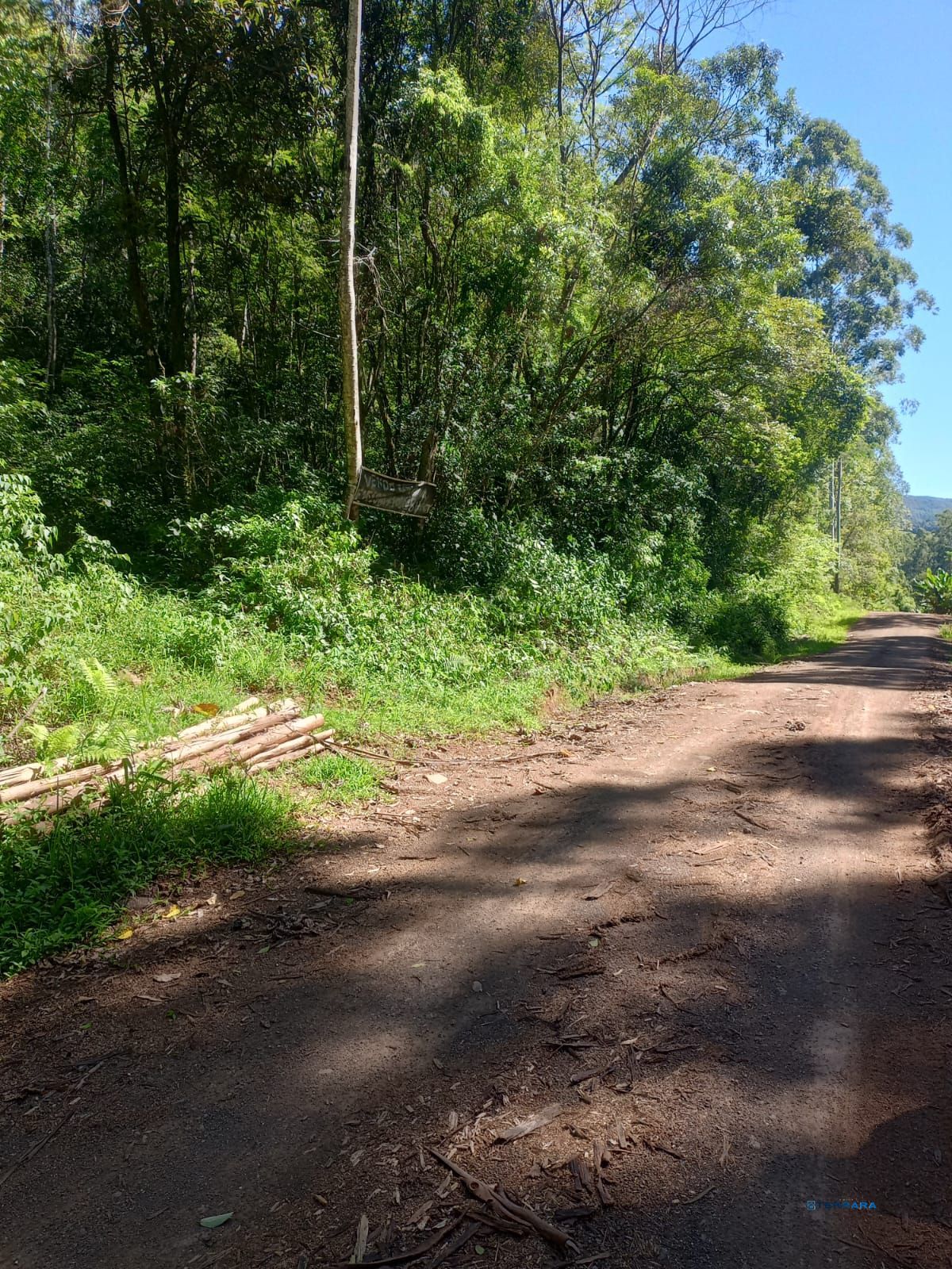 Terreno, à venda, Padilha - Taquara — foto 2