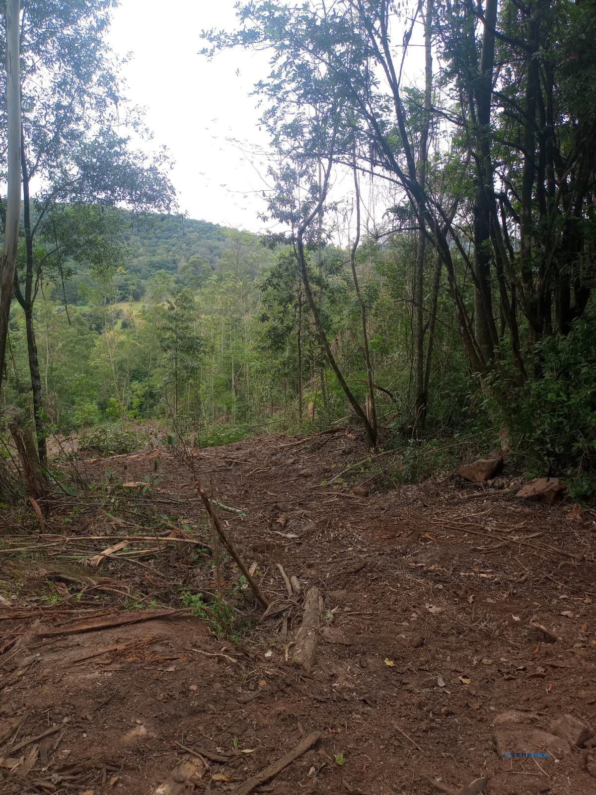 Terreno, à venda, Padilha - Taquara — foto 4