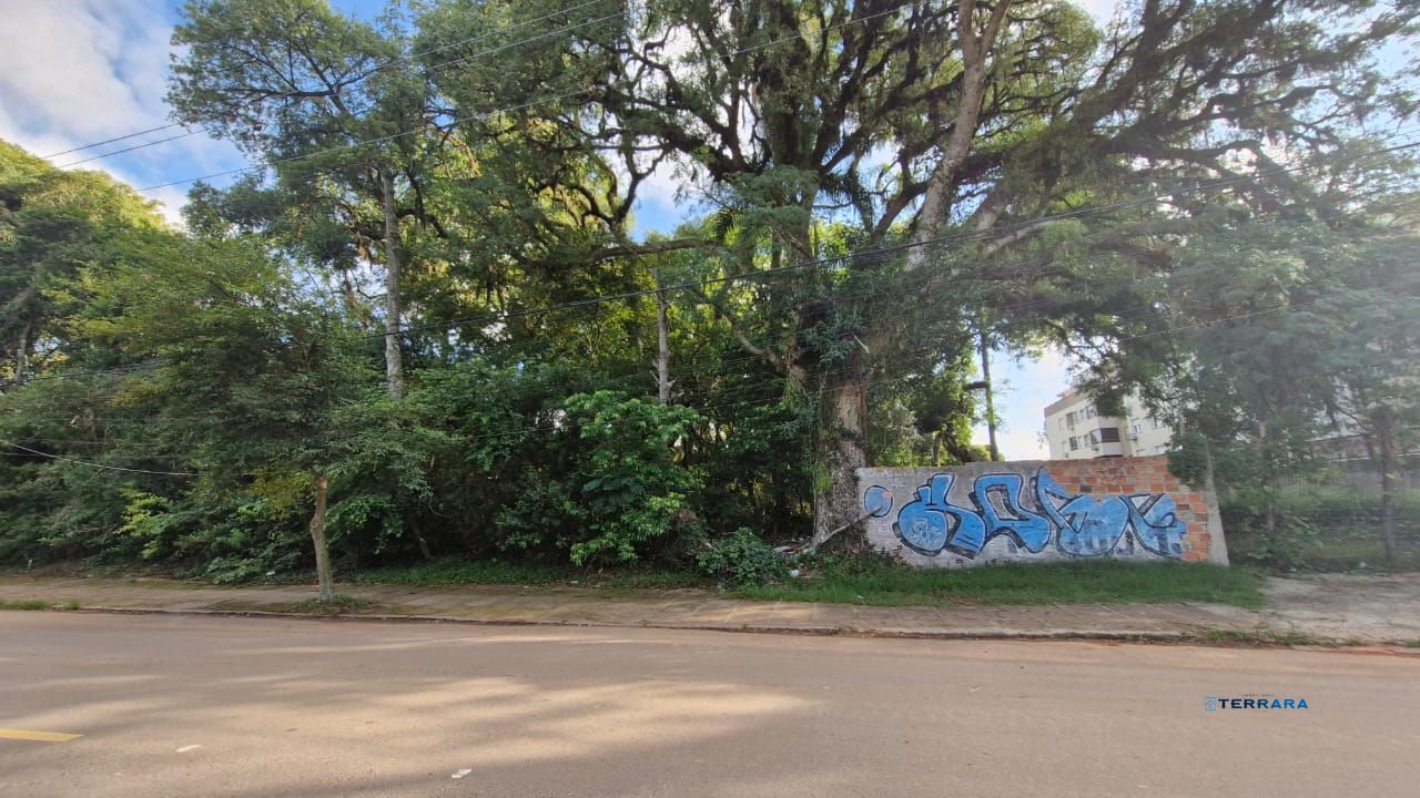 Terreno, à venda, Teresópolis - Porto Alegre — foto 5