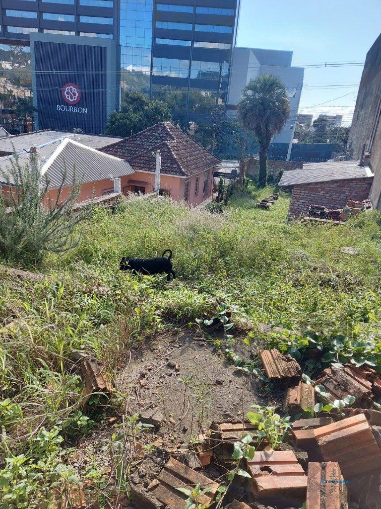 Terreno, à venda, Glória - Porto Alegre — foto 3