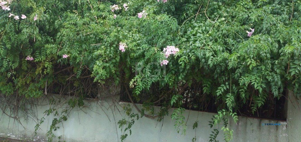 Terreno, à venda, Cavalhada - Porto Alegre — foto 2