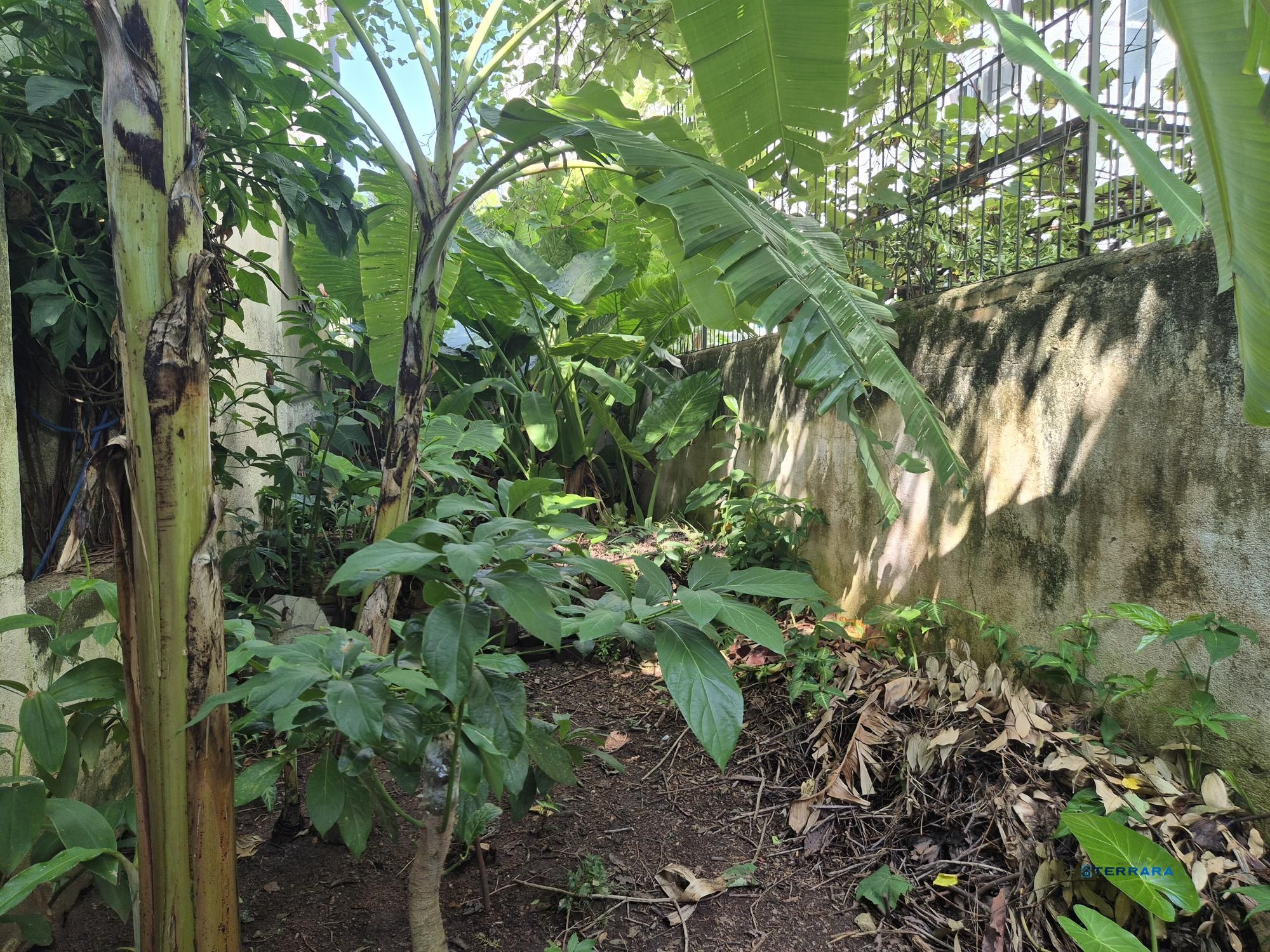Terreno, à venda, Santana - Porto Alegre — foto 3