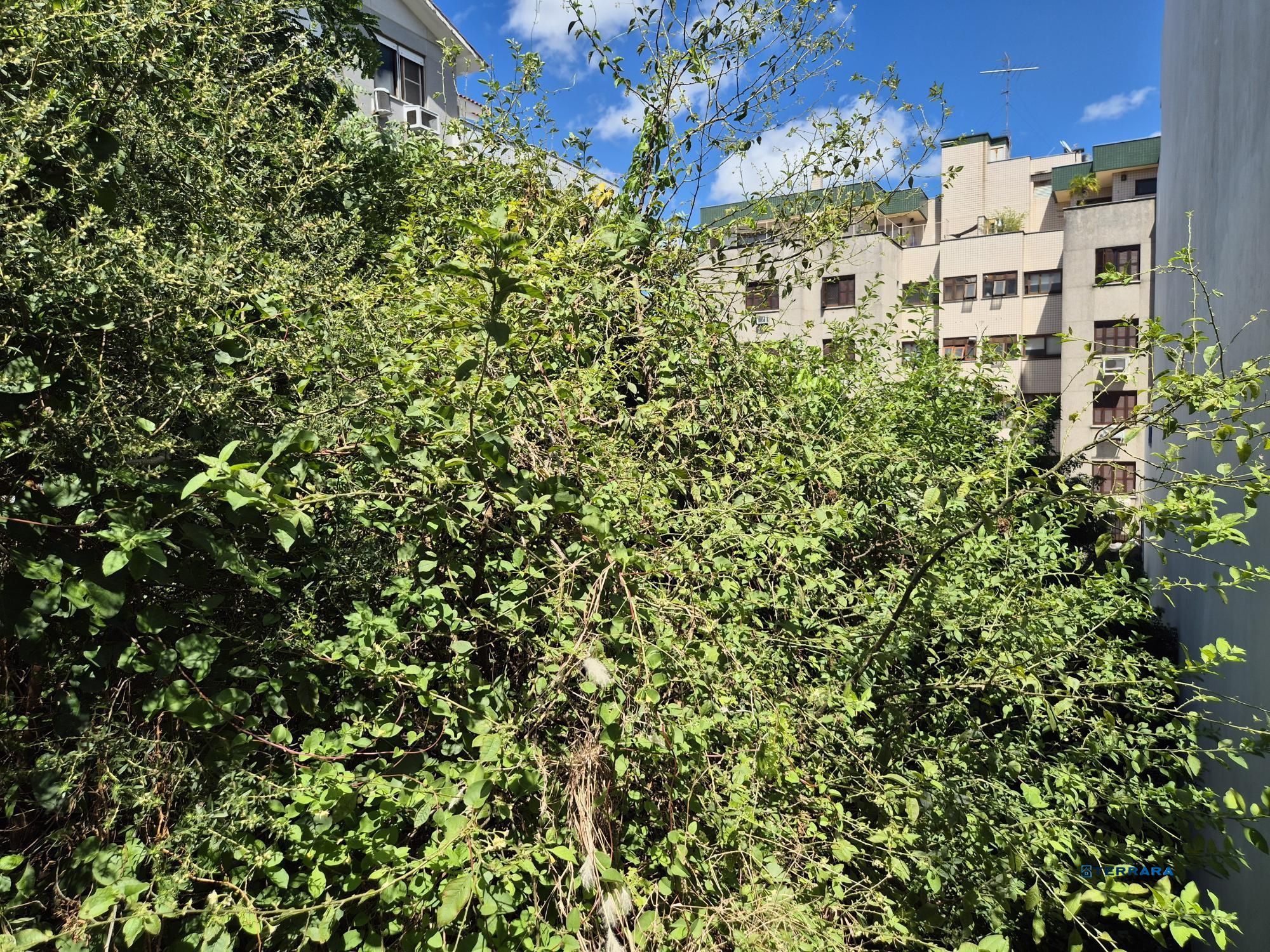 Terreno, à venda, Jardim Itu - Porto Alegre — foto 3
