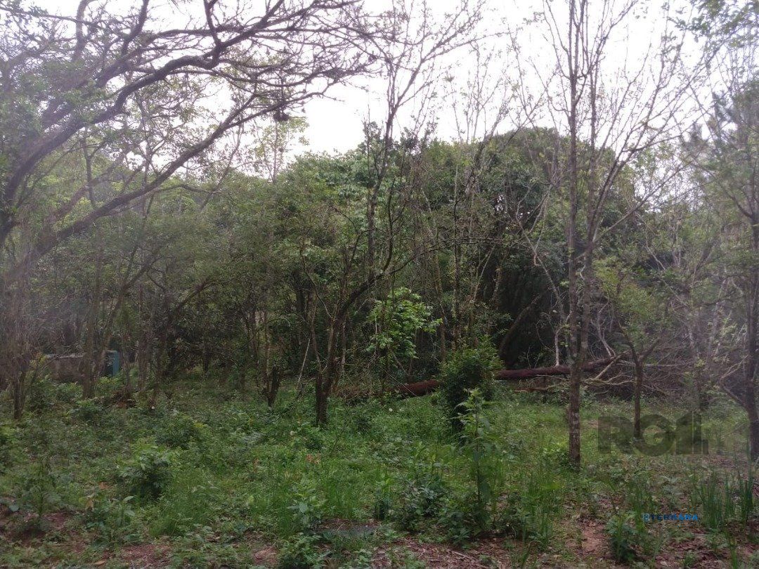 Sítio, à venda, Belém Velho - Porto Alegre — foto 5