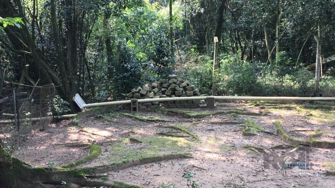Terreno, à venda, Vila Nova - Porto Alegre — foto 4