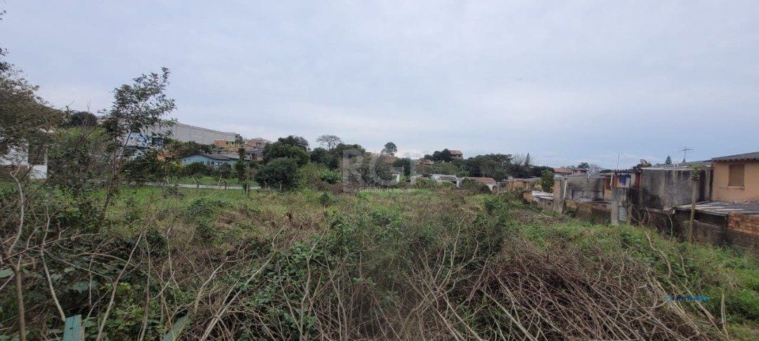 Terreno, à venda, Campo Novo - Porto Alegre — foto 3