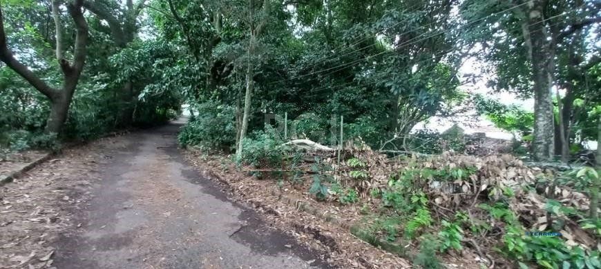 Terreno à venda, Camaquã - Porto Alegre