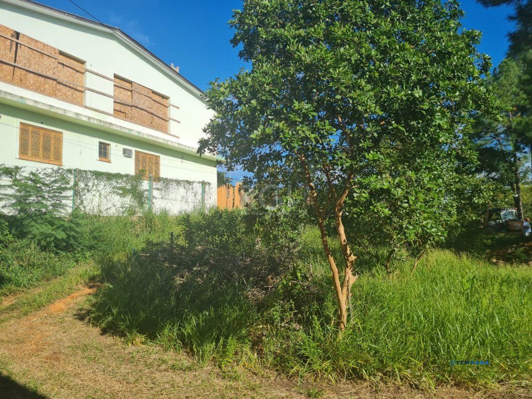 Terreno, à venda, Vila Nova - Porto Alegre — foto 5