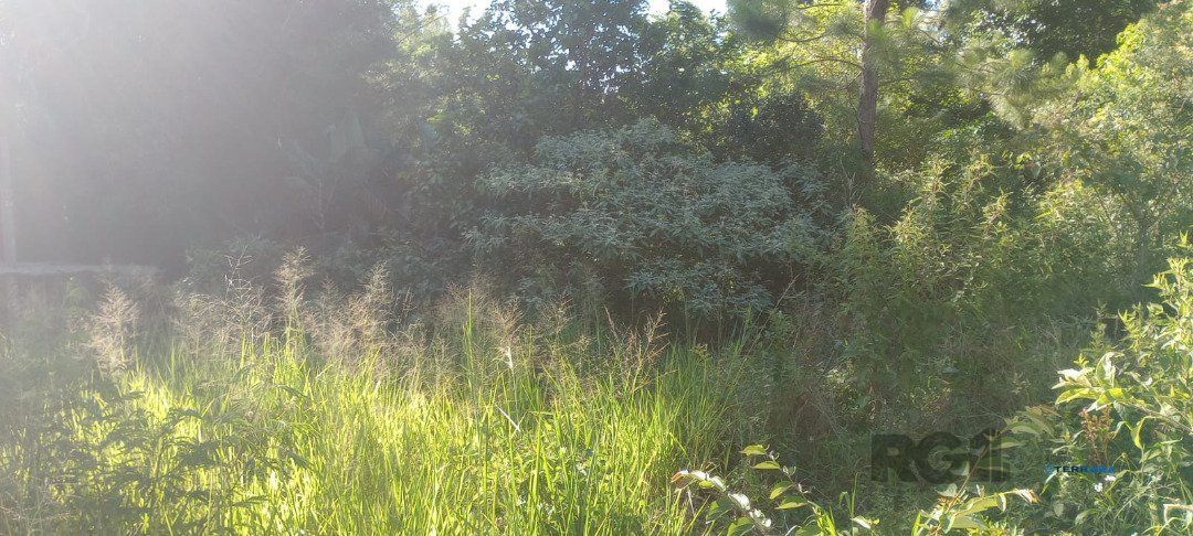 Terreno, à venda, Nonoai - Porto Alegre — foto 5