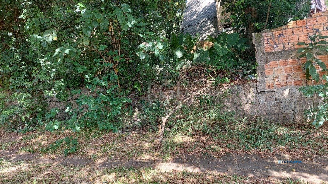 Terreno, à venda, Chácara das Pedras - Porto Alegre — foto 2