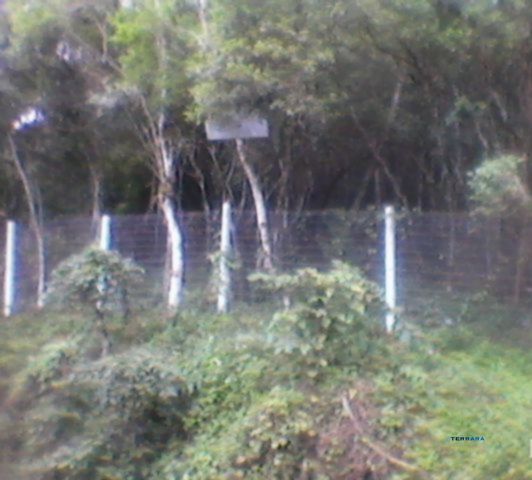 Terreno para Venda - 5100m², Ponta Grossa