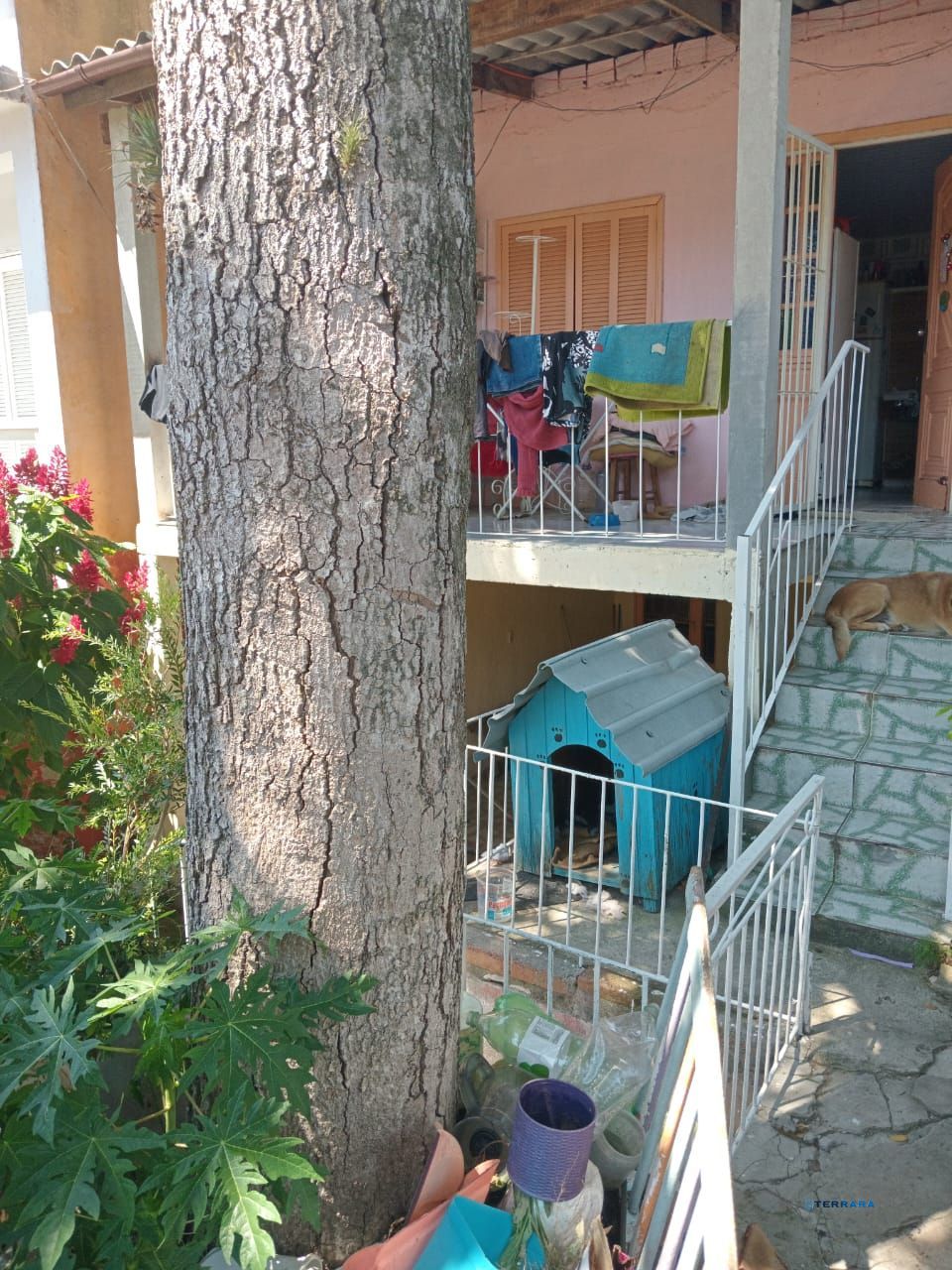 Casa 2 quartos à venda, 545m², Espírito Santo - Porto Alegre